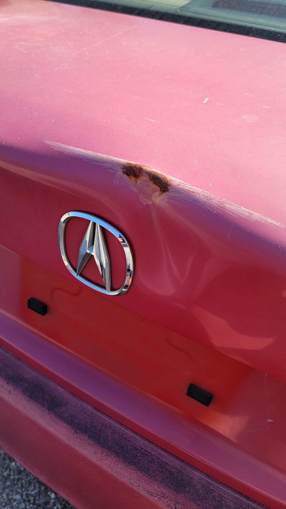 2007 Acura TSX Base - Photo 5