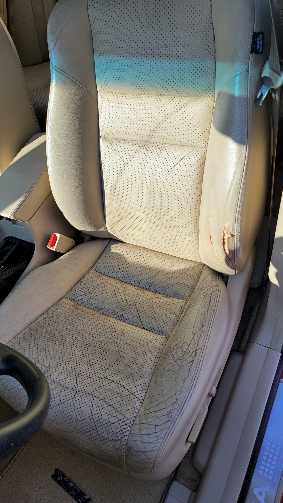 2007 Acura TSX Base - Photo 15